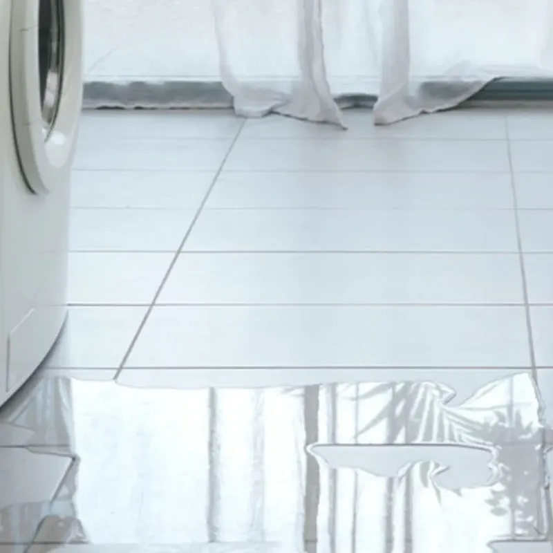 Appliance Leak Cleanup in Monroe, WA
